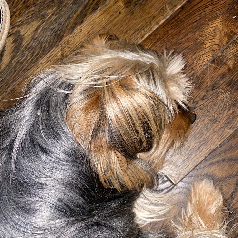 Andrea Bravo Beauty Salon