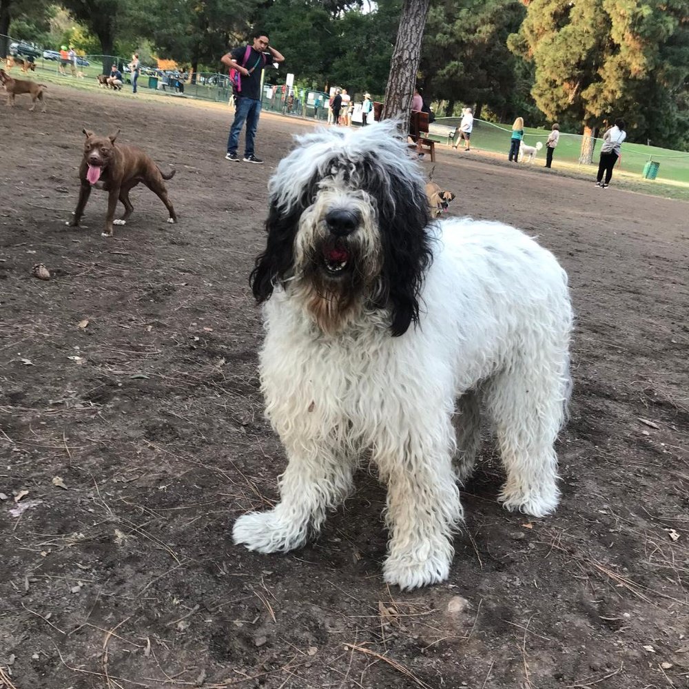 South Street Hair Design